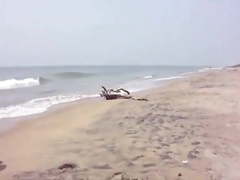 Desi Wife On Beach - Canging Lower Dress